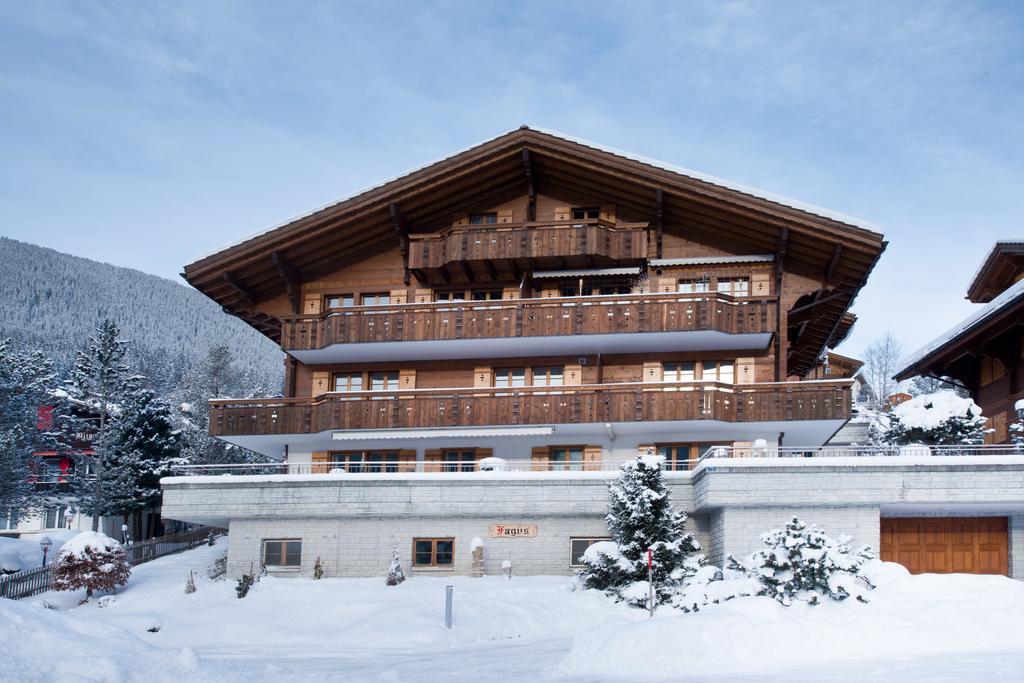 Mom - Alpine Boutique Apartments, Chalet Fagus, Terrace Studio Grindelwald Exterior photo